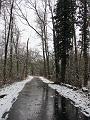 Wandeling De Paalse Plas 24-2-2013 (24)